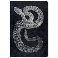 Wynwood Studio Animals Wall Art Canvas printuri 'Serpiente' Zoo și animale sălbatice-negru, alb