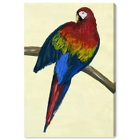 Wynwood Studio Animale Arta De Perete Panza Printuri' Maccaw ' Păsări-Roșu, Albastru
