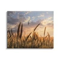 Stupell Industries câmp de grâu rural Teren Agricol Cer înnorat Apus de soare Galerie de fotografii-pânză învelită artă de perete,