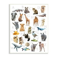 Stupell Industries Alfabet ABC tradițional animale din lume artă grafică artă Neîncadrată imprimare artă de perete, 13x19