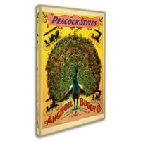 Marcă comercială Fine Art 'Peacock Buggy' Canvas Art by Vintage Apple Collection