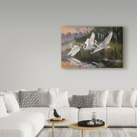 Marcă comercială Fine Art 'Morning Departure Egrets' Canvas Art de Wilhelm Goebel