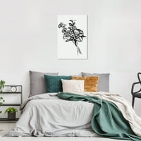 Wynwood Studio Canvas ink bujori florale și botanice Flori de perete Art Canvas Print Negru 16x24