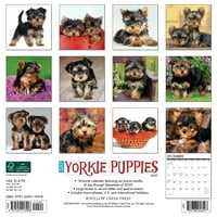 Willow Creek Apăsați Doar Yorkie Puppies Perete Calendar