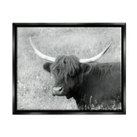 Stupell Farmhouse Bovine Highland Portret Animale & Insecte Fotografie Negru Floater Înrămate Arta Imprimare Arta De Perete