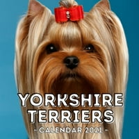 Yorkshire Terriers: Calendar, Idee Drăguță De Cadou Pentru Iubitorii Sau Proprietarii Yorkshire Terrier Bărbați Și Femei