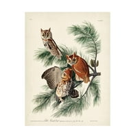 Arta Pânzei Lui John James Audubon 'Little Screech Owl'