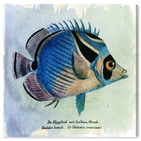 Wynwood Studio Animals Wall Art Canvas Printuri 'Pește Croissant' Animale De Mare-Albastru, Maro