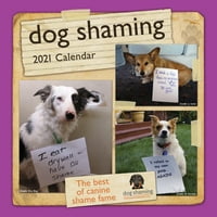 Andrews Mcmeel Dog Shaming Mini Calendar De Perete