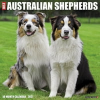 Willow Creek Apăsați Doar Australian Shepherds Perete Calendar
